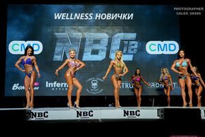 WELLNESS НОВИЧКИ